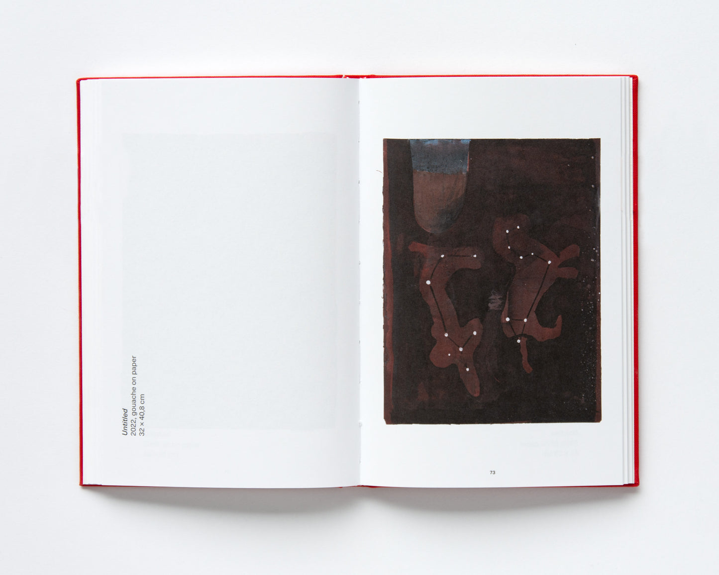 Walter Swennen ‘(what the body can do)’