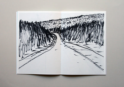 Lee Ranaldo ‘Lost Highways’