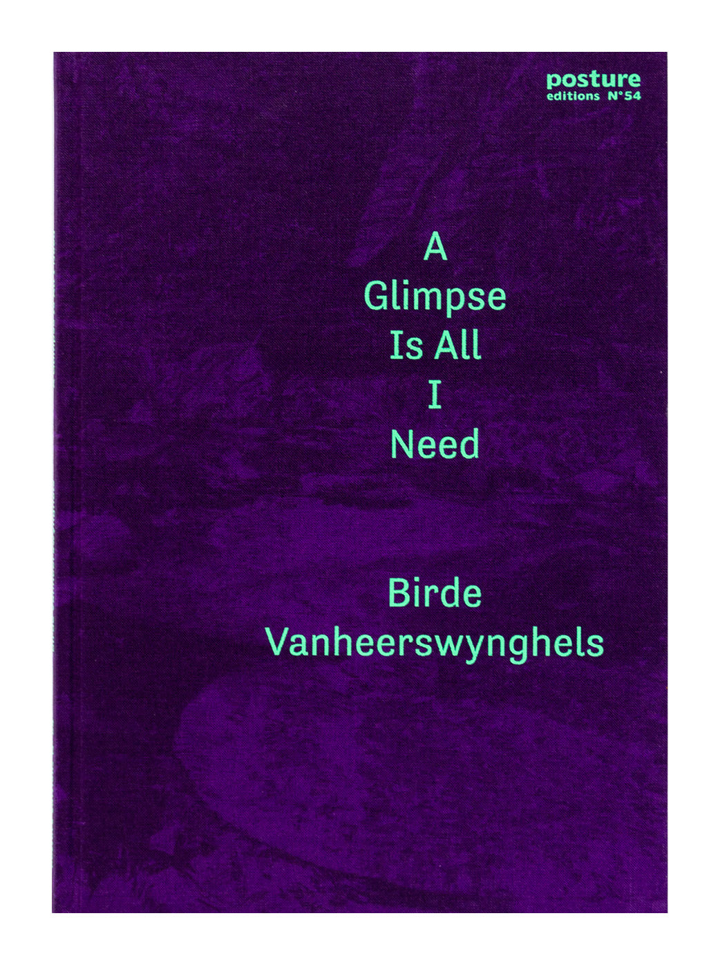 Birde Vanheerswynghels ‘A Glimpse Is All I Need’